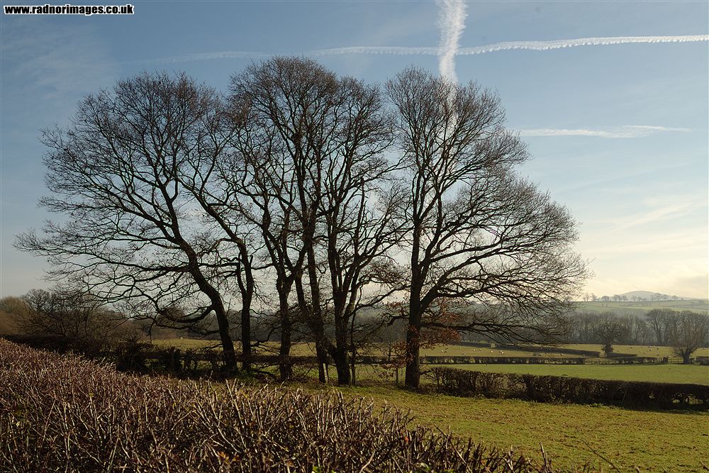 Brecon
