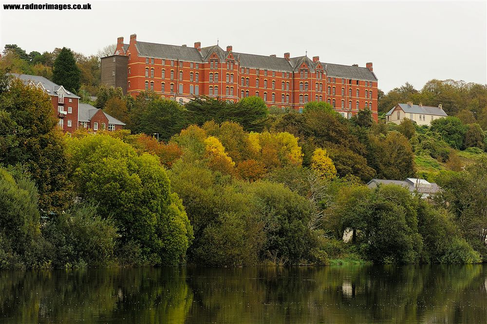 Cork