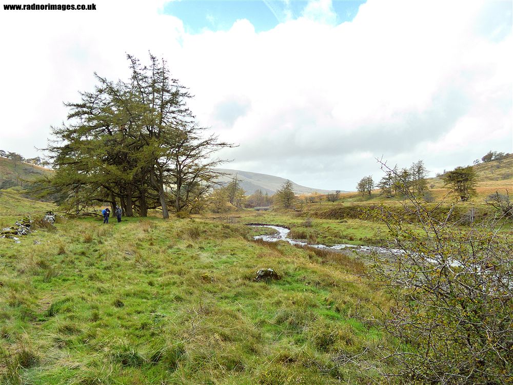 Craig Cerrig Gleisiad