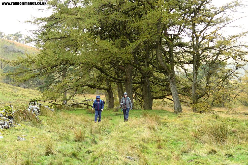 Craig Cerrig Gleisiad