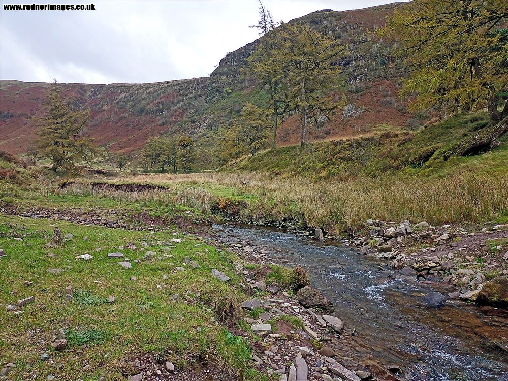Craig Cerrig Gleisiad
