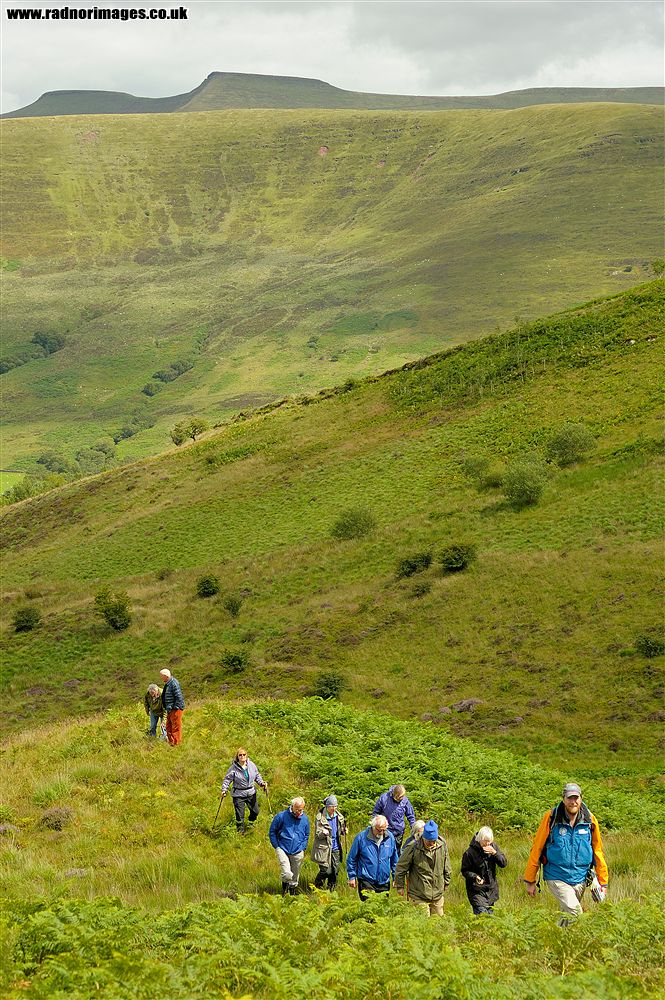 Craig Cerrig Gleisiad