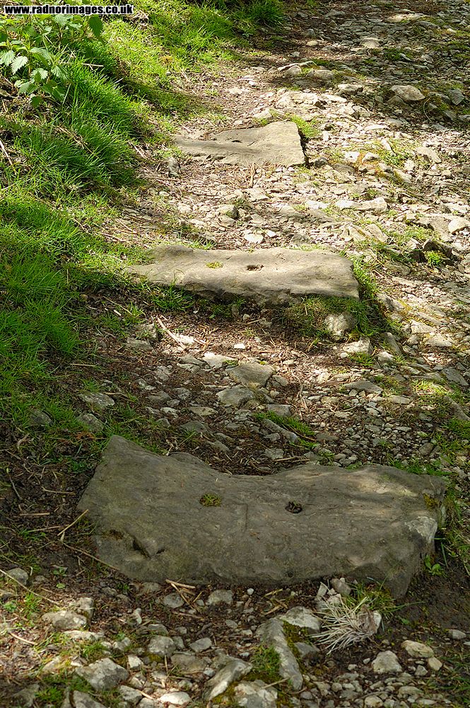 Craig y Cilau