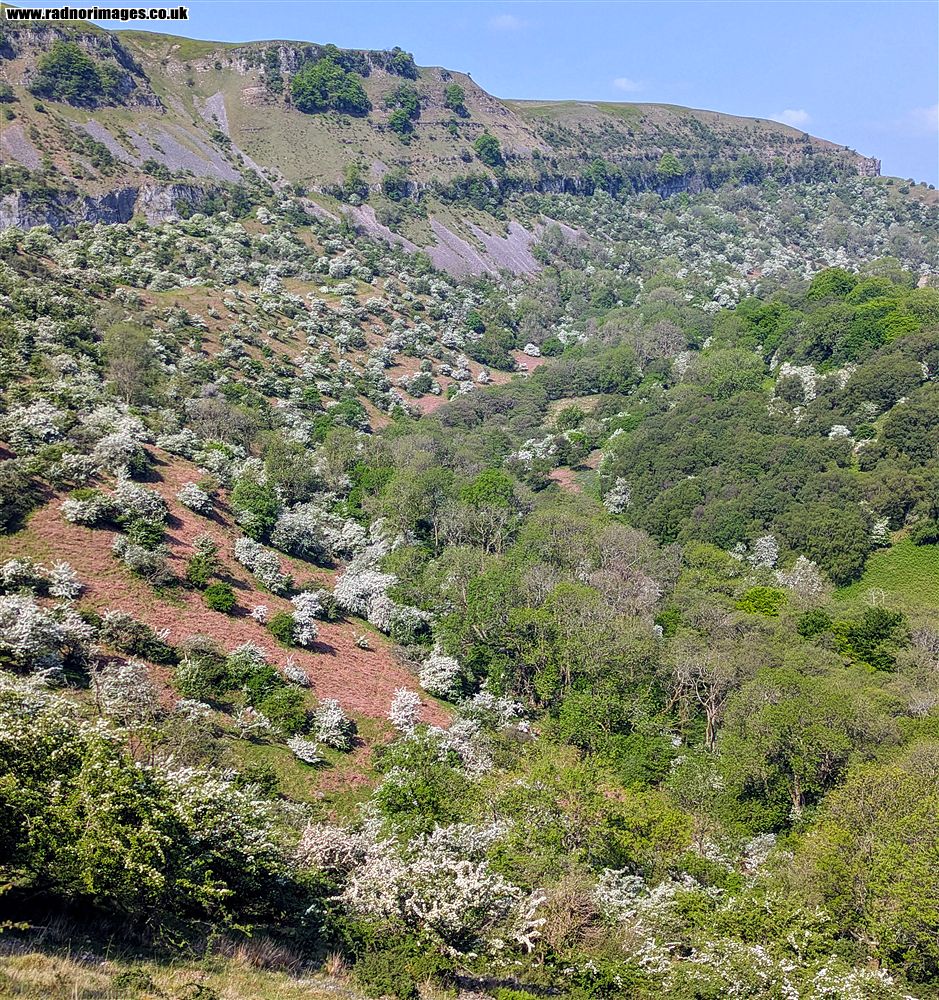 Craig y Cilau
