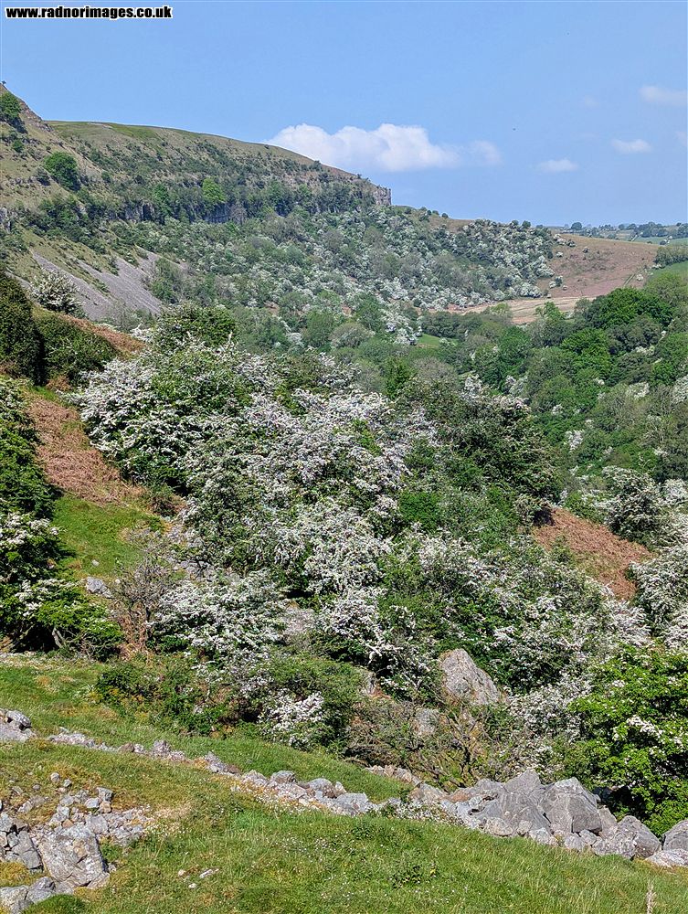Craig y Cilau
