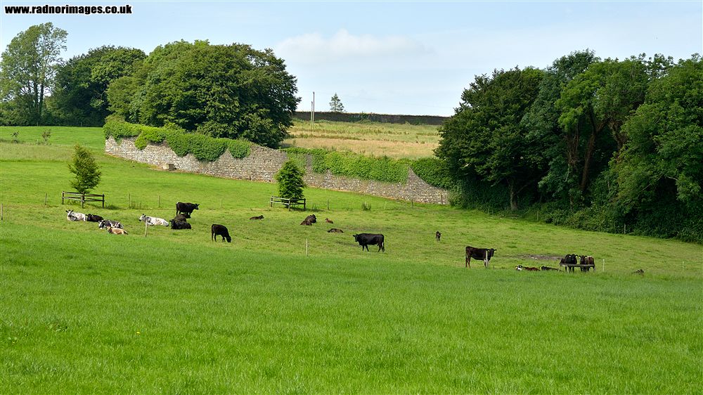 Crossmahon