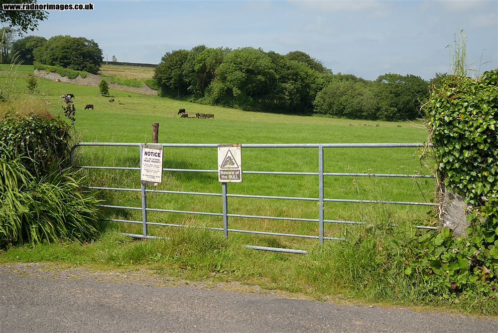 Crossmahon