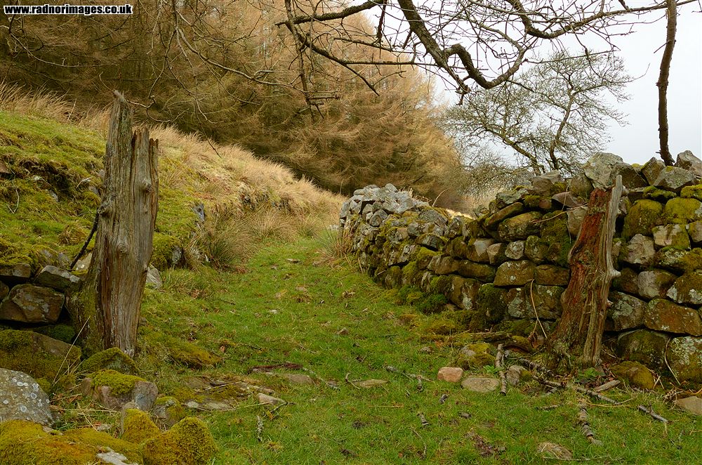 Cwm Cleisfer
