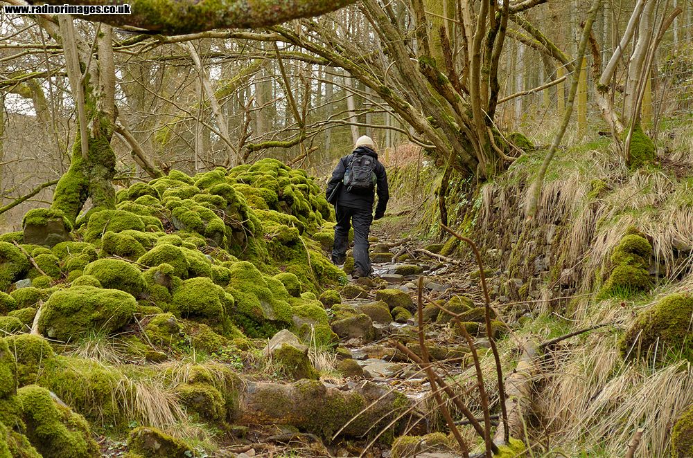 Cwm Cleisfer