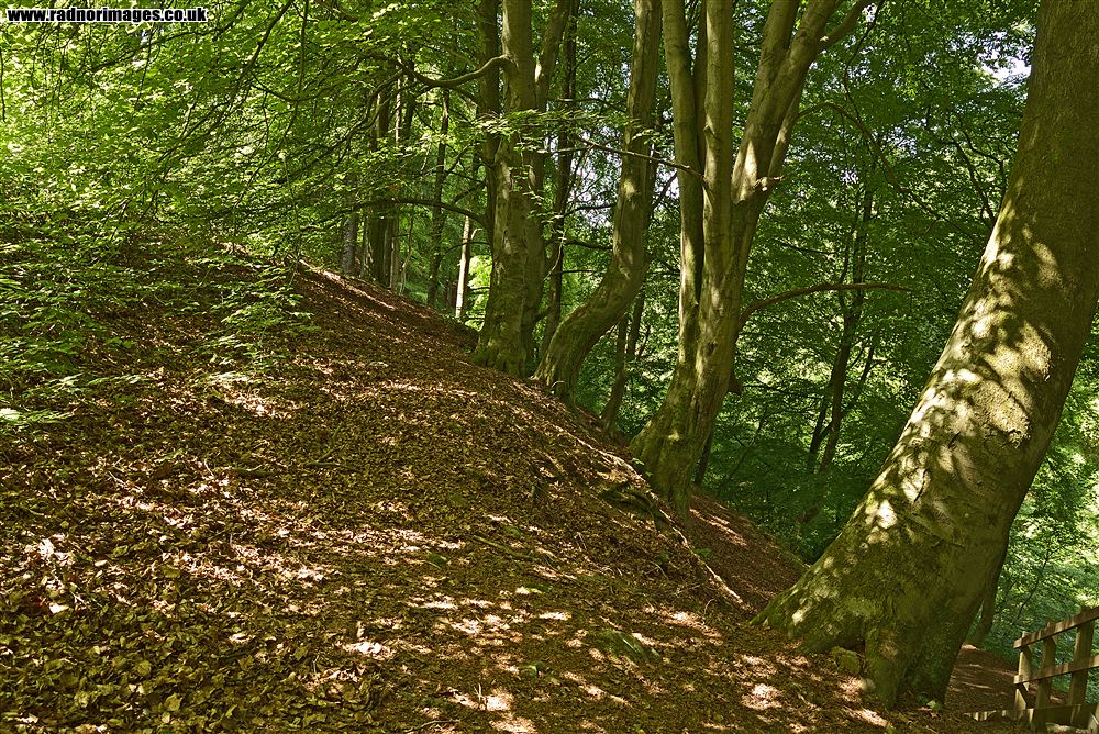 Cwm Clydach