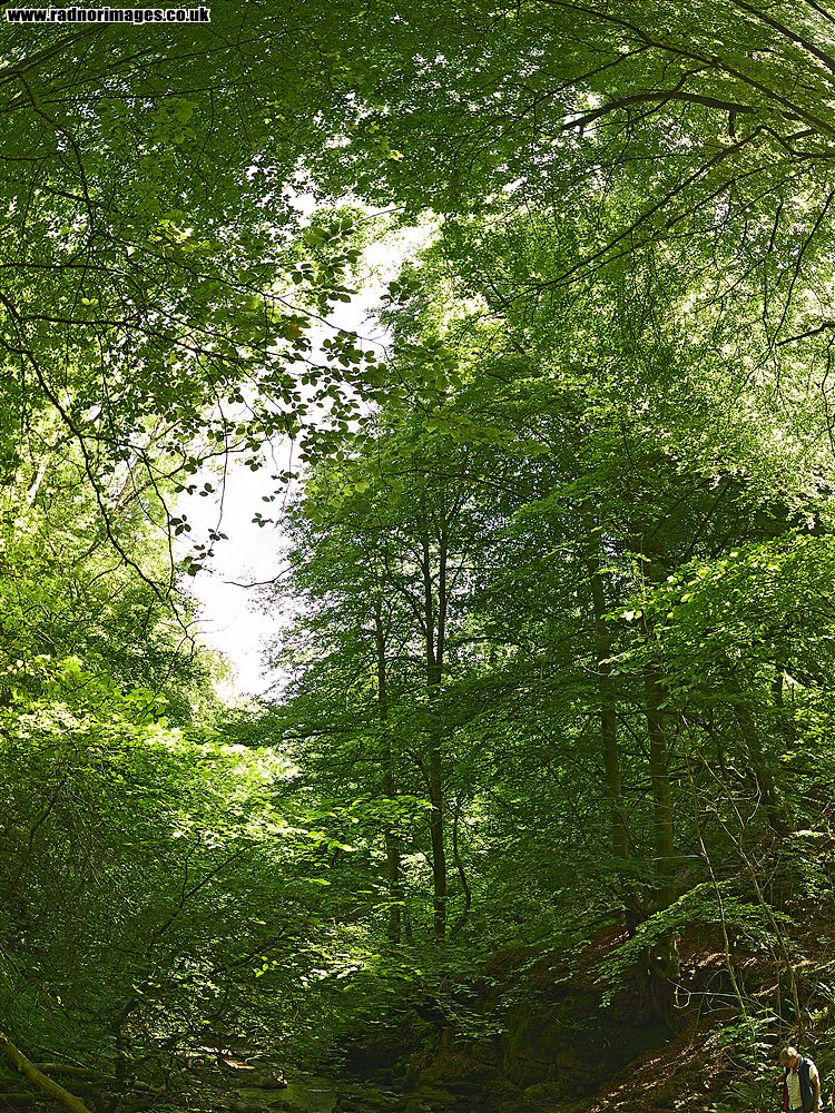 Cwm Clydach