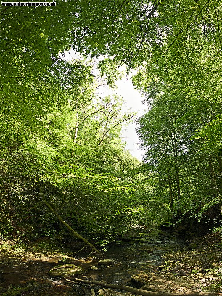 Cwm Clydach
