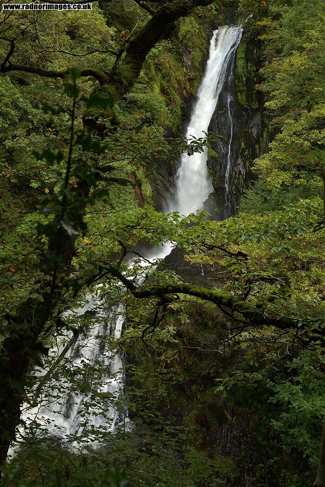 Devil's Bridge