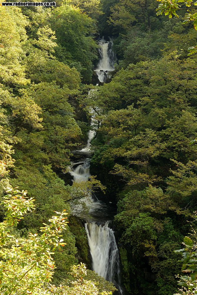Devil's Bridge