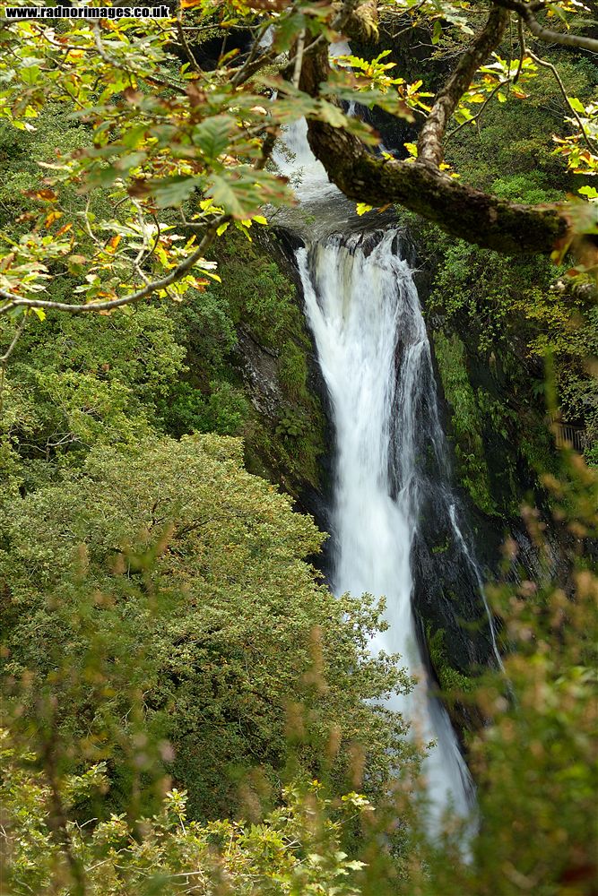 Devil's Bridge
