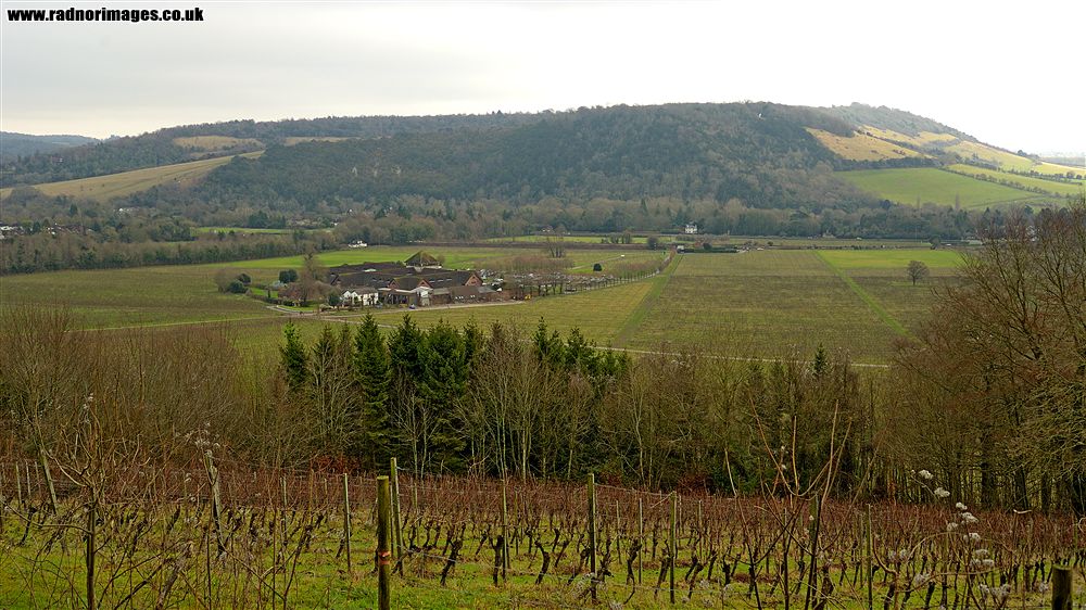 Dorking