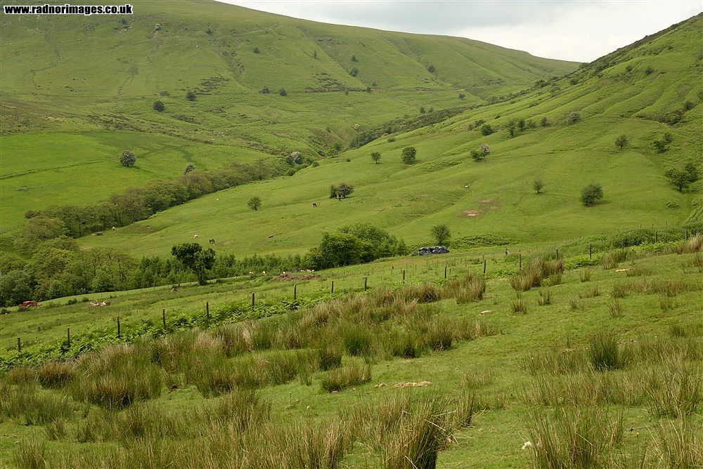 Dyffryn Ewias