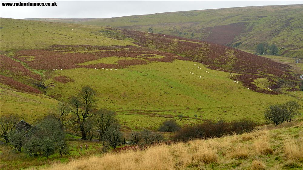 Epynt