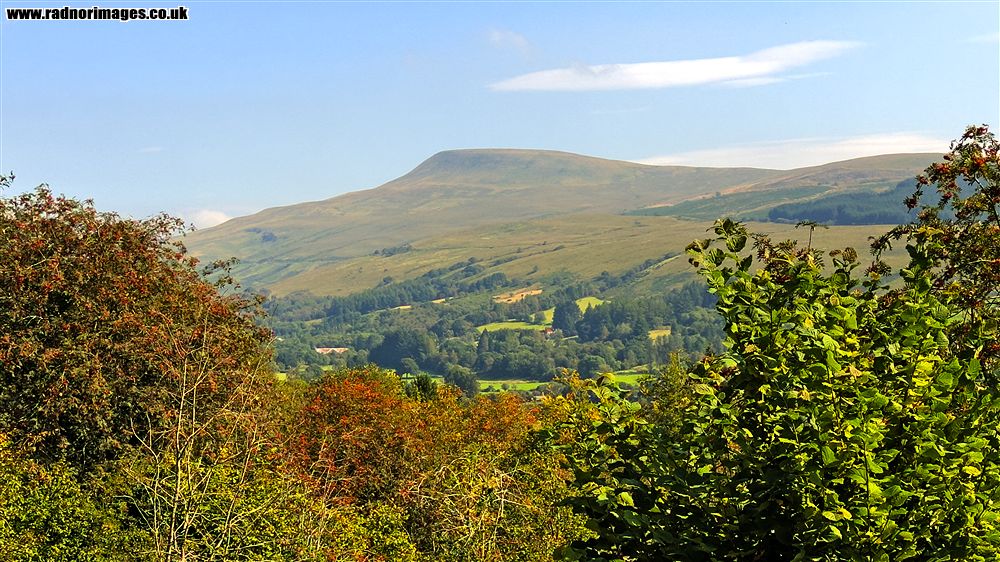 Fforest Fawr