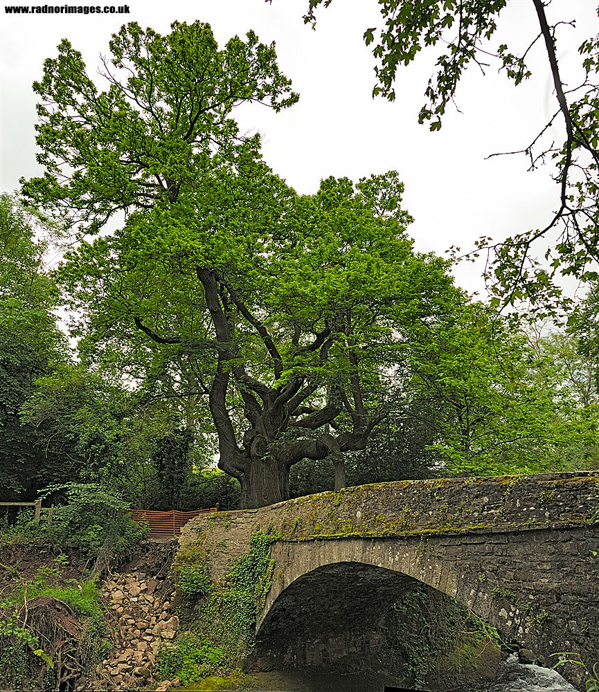 Glangrwyney