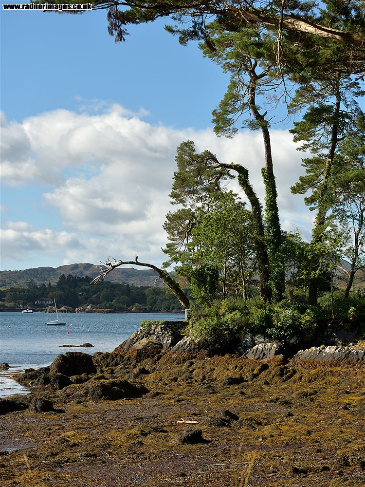 Glengarriff