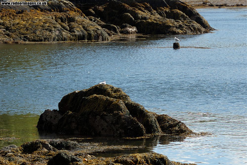 Glengarriff