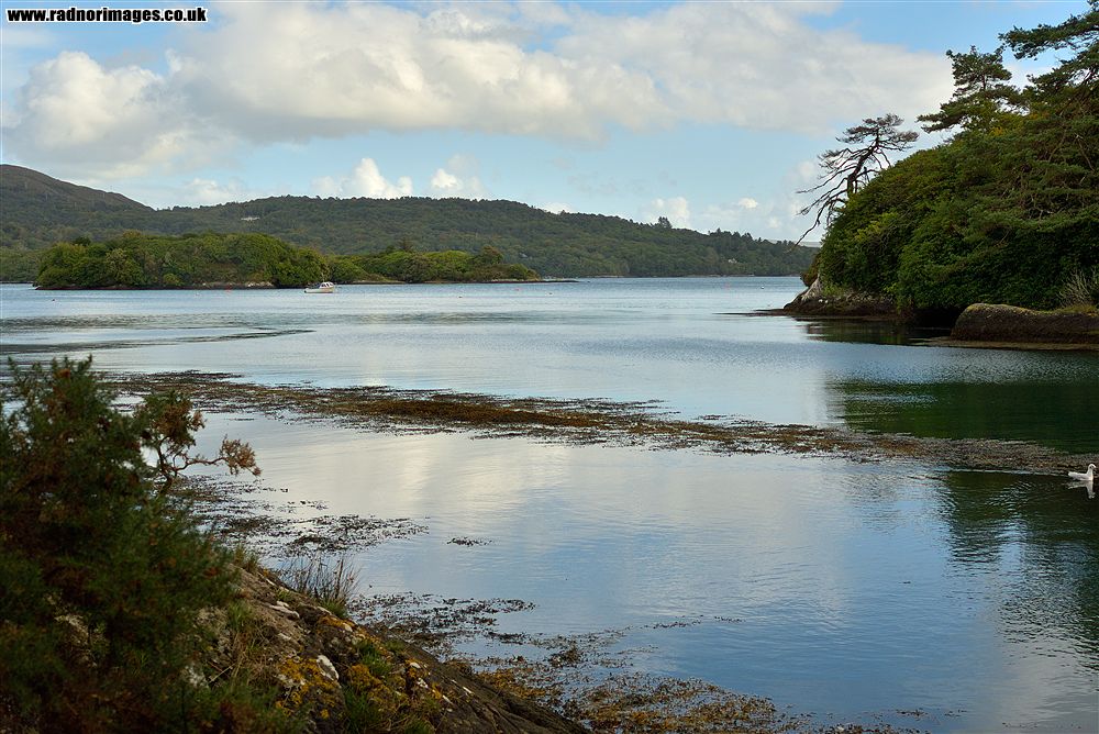Glengarriff