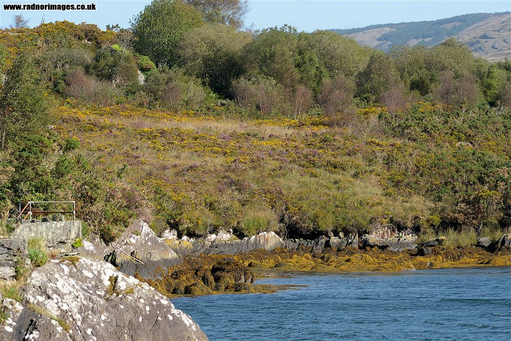 Glengarriff