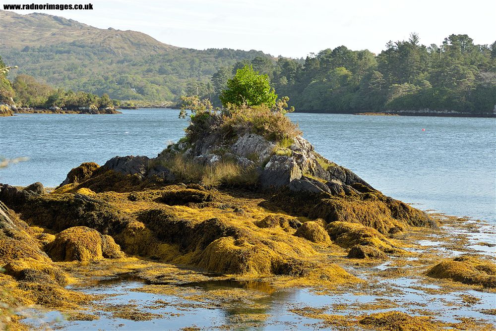 Glengarriff