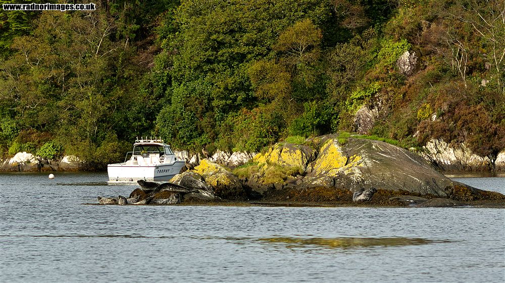 Glengarriff