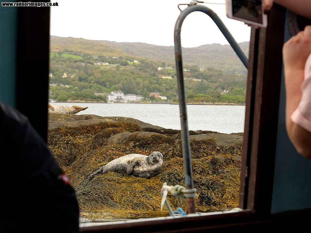 Glengarriff