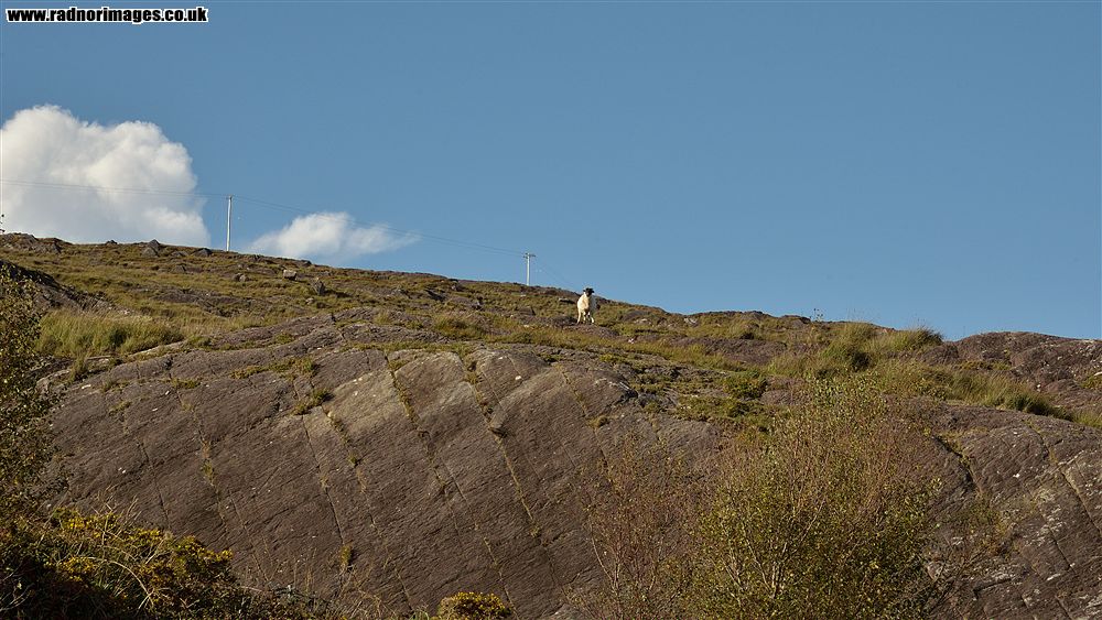 Glengarriff