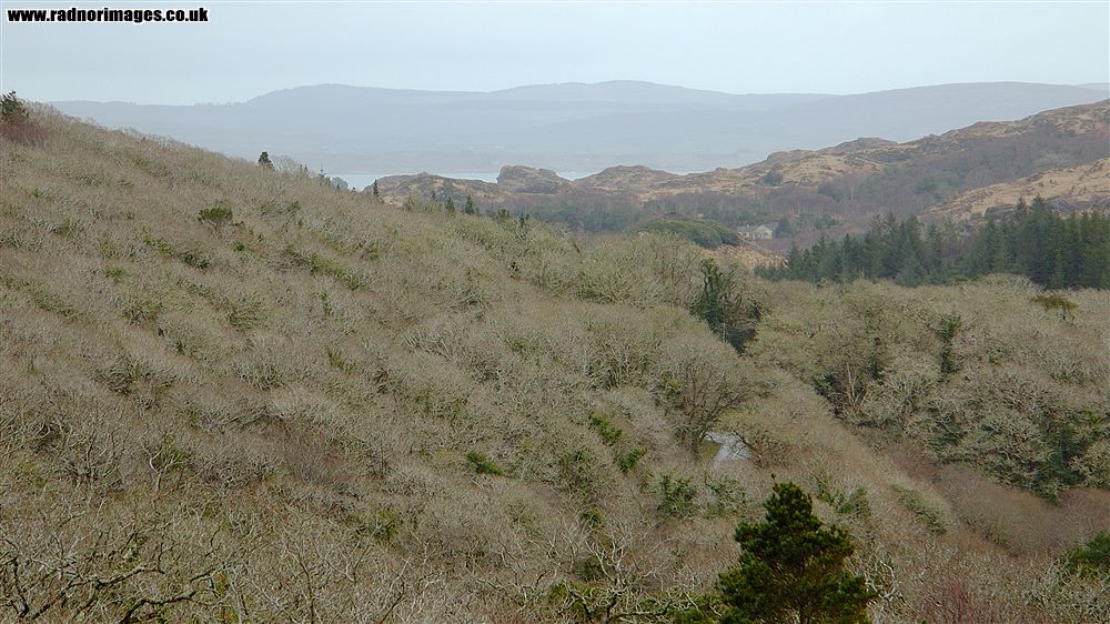 Glengarriff