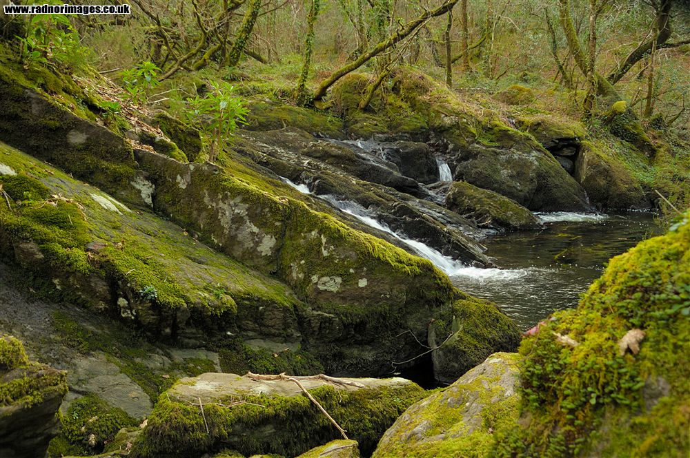 Glengarriff