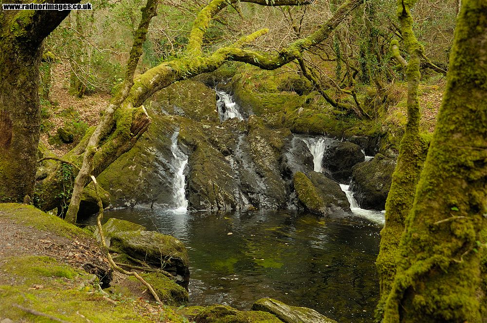 Glengarriff