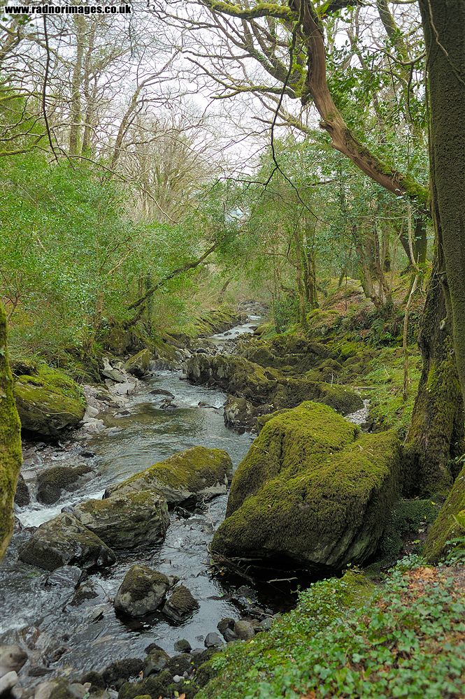 Glengarriff