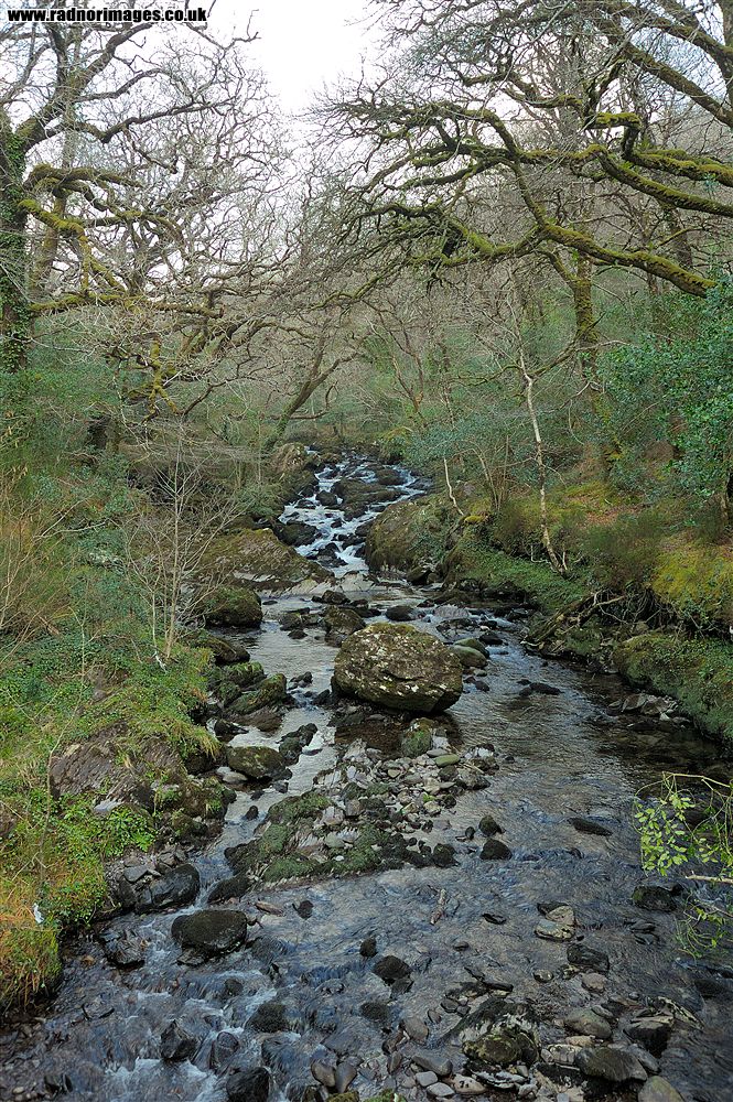 Glengarriff