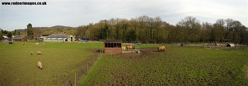 Godstone Farm
