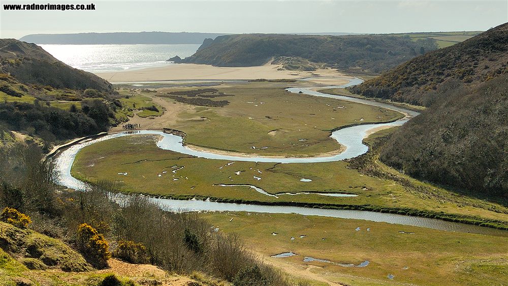 Gower
