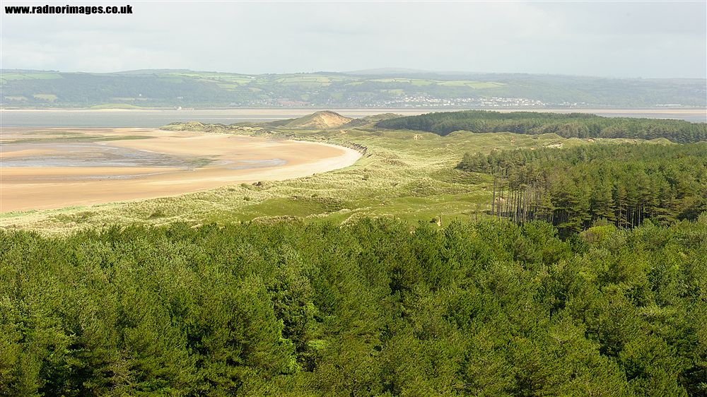 Gower