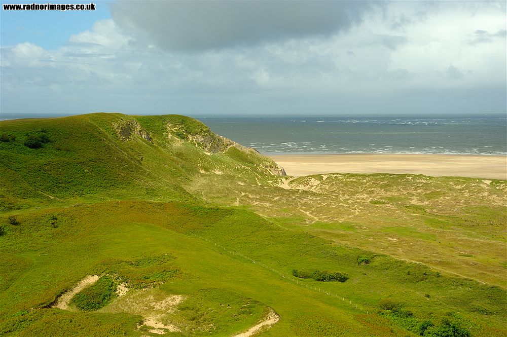 Gower