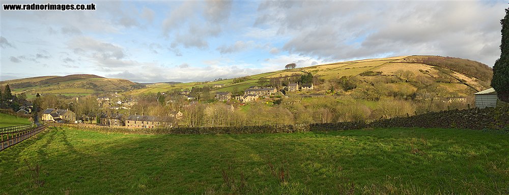 Hayfield