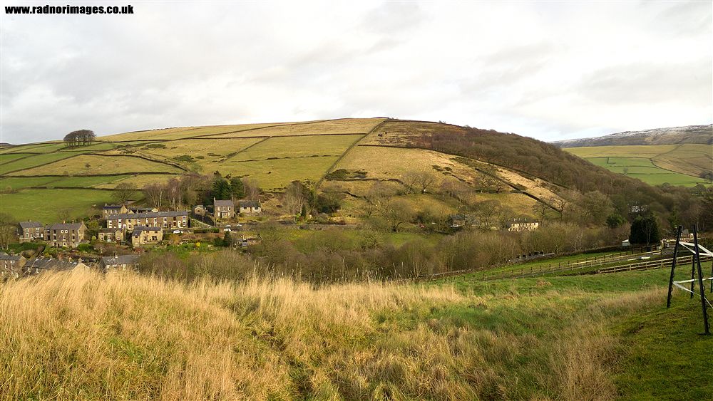 Hayfield