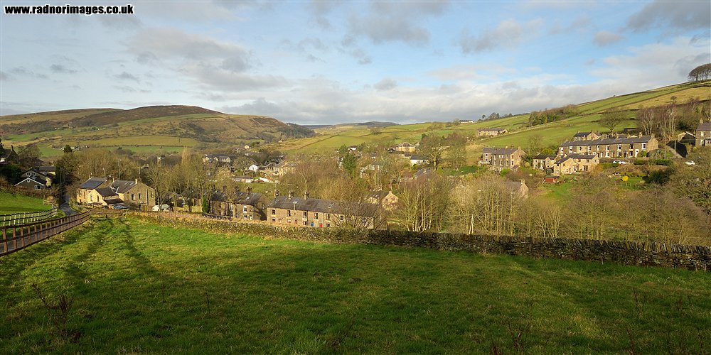Hayfield