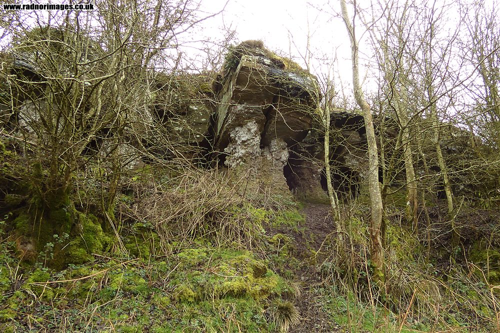 Henallt Common