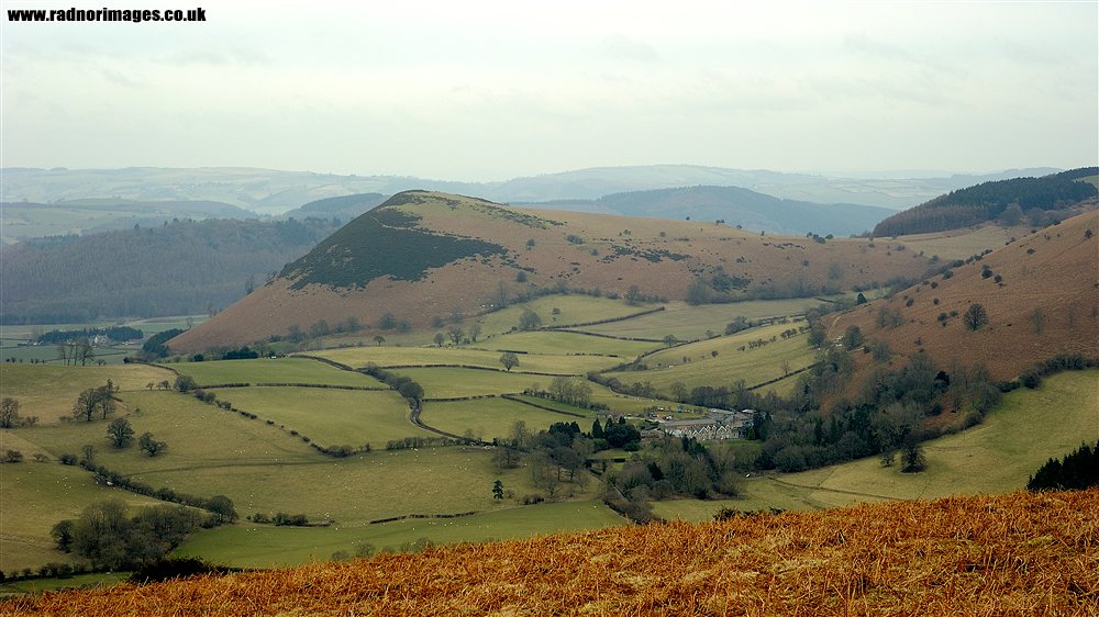 Hergest Ridge