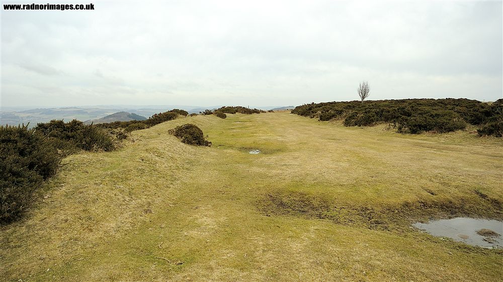 Hergest Ridge
