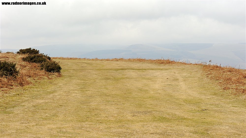 Hergest Ridge