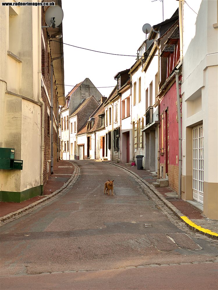 Hesdin