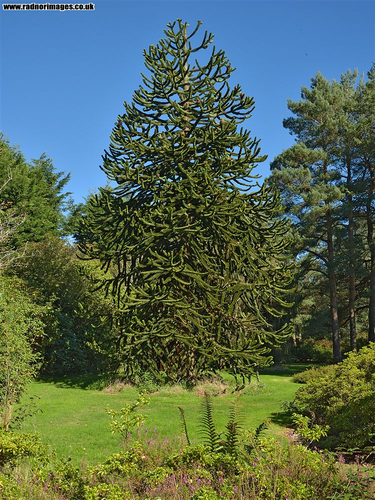 John F Kennedy Arboretum